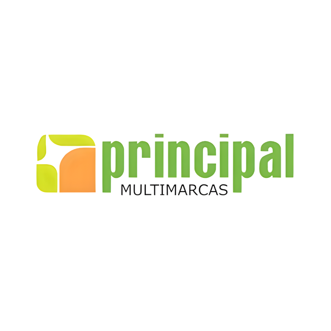Logo Principal Multimarcas
